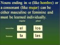 Definite and Indefinite Articles in Spanish