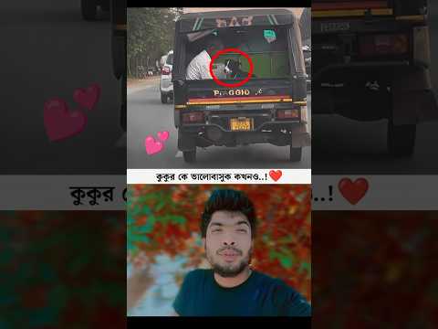 কুকুরকে ভালোবাসুন কখনো আপনাকে..!❤️ #shortvideo #shortvideo #love #doglover