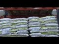 Producción y Distribución de Bienestarina