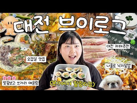 대전의 딸, 하와이 여행 후 컴백홈,,,,,,❤️🔥 여행 선물 증정식🎁 • 대청댐 벚꽃 나들이🌸 • 김밥 만들기 • 대전 카페추천 • 오겹살 맛집 • 노견 셀프미용🐶