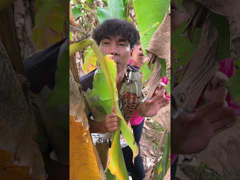 Đi lính bất ngờ | Chun #shorts