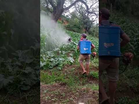 Bomba Costal Ventilizada #agri