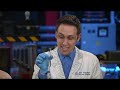 Exploring Natural Selection Concepts