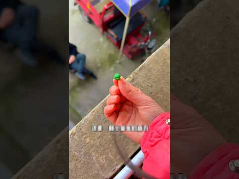 इस पटाखे से भाईया को डराती हूं #shorts #ytshorts #shortsviral