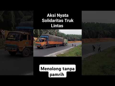 Solidaritas supir truk