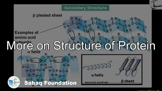 More on Structure of Protein