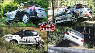 Rallye du Forez 2025 [CRASHES]