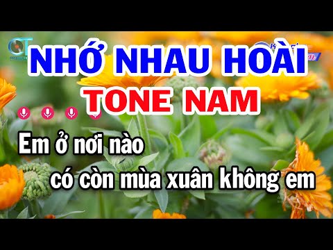 Karaoke Nhớ Nhau Hoài Tone Nam ( Am ) Nhạc Sống Đồng Sen