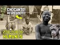 Human Zoos: A Dark Chapter in History