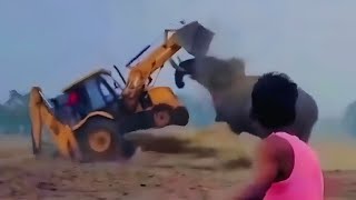 É ISSO QUE OS ELEFANTES FAZEM QUANDO FICAM BRAVOS !
