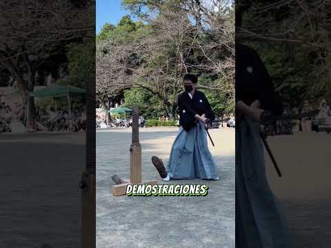 Fuerza y filo de las espadas japonesas