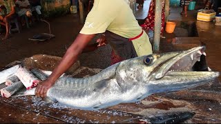 Huge Long Fish Cutting Amazing Skill In sri lanka #trending #short #fish