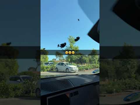 Weitere Einblicke in Montes Urlaub 😎 MontanaBlack Snapchat Story