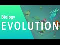 Darwin's Finches and Evolution