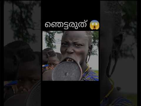 ഇത് ഒന്നു കാണാതെ പോകുരുത് gys 😱❗️( part20) unknown facts | facts Malayalam  #shorts #viral