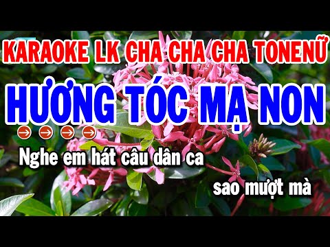 Karaoke Liên Khúc Nhạc Sống Cha Cha Dễ Hát Tone Nữ | Hương Tóc Mạ Non – Chút Kỷ Niệm Buồn