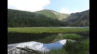 Naturschutzgebiet kleiner Arbersee in Bayern