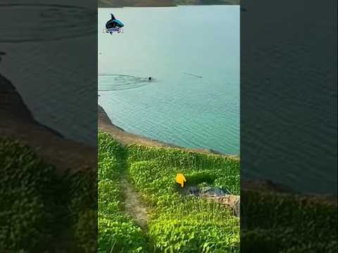 Mata pancing, Hati-hati kalau mancing Jangan sampai Lengah,#fishing