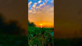 mention your ❤️.……….👑#shorts#shortvideo#youtube #mehsana #love#viral#trending#trendingreelsong