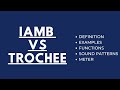Understanding Iambs and Trochees