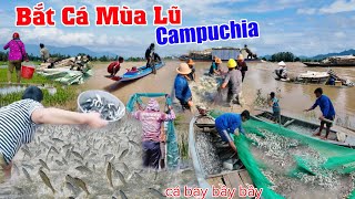 Mùa nước lũ 2025 qua Campuchia xem người dân đổ xô đi bắt cá bay bầy bầy