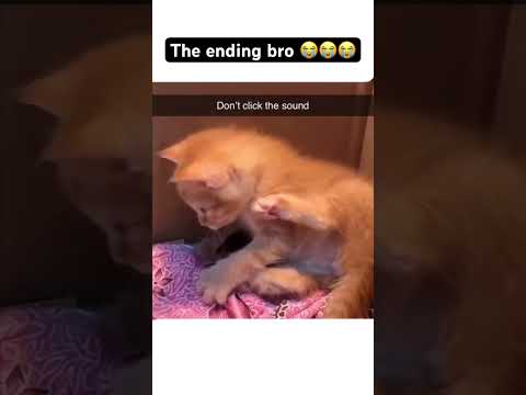 The ending bro ๐ญ๐ญ๐ญ