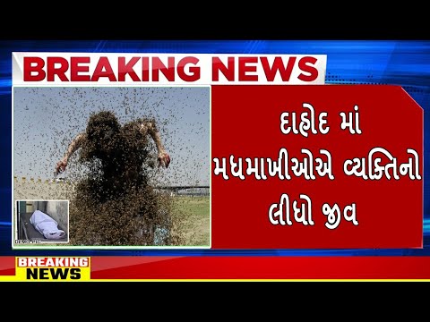 દાહોદ માં મધમાખીઓએ વ્યક્તિ નો લીધો જીવ