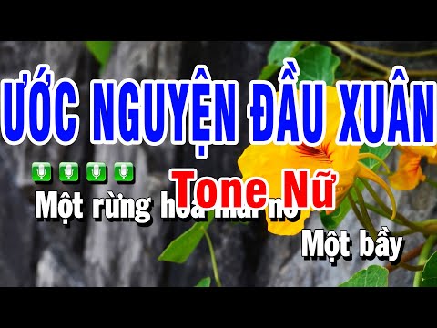 Karaoke Ước Nguyện Đầu Xuân Nhạc Sống Tone Nữ Edm | Huỳnh Anh