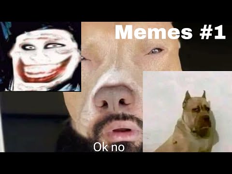 MEMES alos calzoski ¦ recopilación de videos ¦