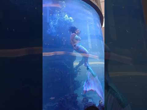 Ye Ladki Dubane Se Bal Bal Bach Jaati Hai | #shortsfeed