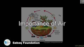 Importance of Air