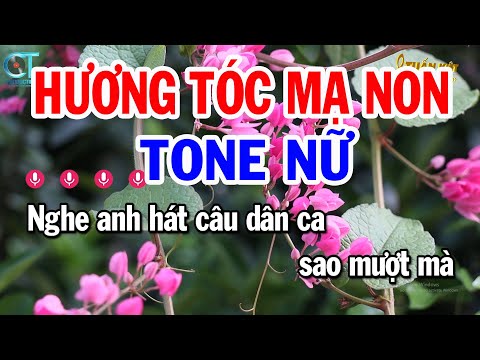 Karaoke Hương Tóc Mạ Non Tone Nữ ( Am ) Nhạc Sống Mới || Karaoke Tuấn Kiệt