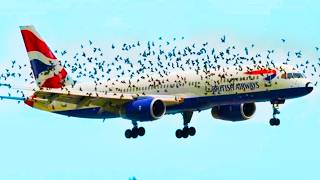 Flight Secrets That Are Never Told To Passengers