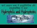 Hydrophilic and Hydrophobic Substances