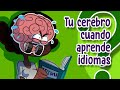 Exploring Brain Changes in Language Learning