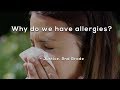 Understanding Allergies and Pollen