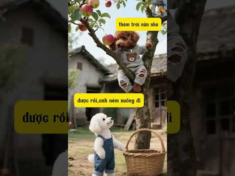 Mái ấm gia đình mới cúa Maomao #shorts #cute #poodle #dog #ai