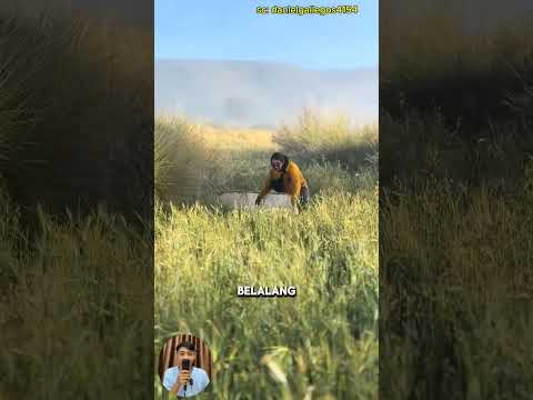 cara unik menangkap belalang dengan cepat