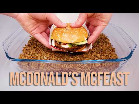 10 000 Mealworms vs. McDonald's McFeast