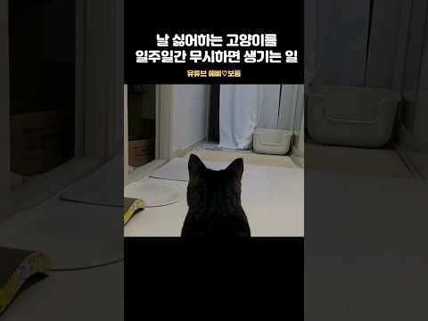 큰언니의 엄청난 결심