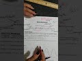 Wavelength and Wave Properties