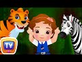 Animal Characteristics and Features