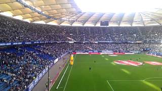 Hamburger SV - VfL Wolfsburg (1:1)(1)
