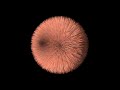 Exploring Infinity and Paradoxes