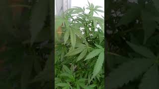 Outside update