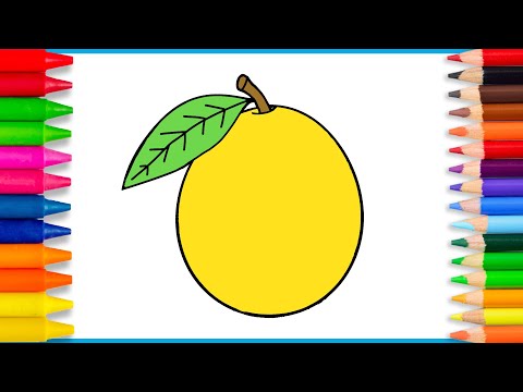 How to draw a Mango🥭🍋| Easy Mango drawing and coloring for kids | step by step