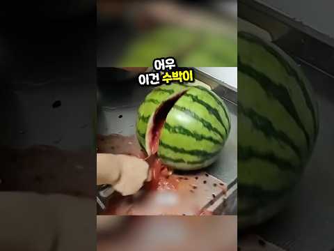 세상에서 가장 불행한 사람들ㅋㅋㅋ