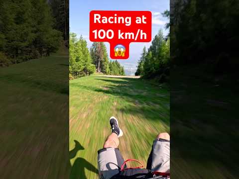 Racing through the trees at 100 km/h