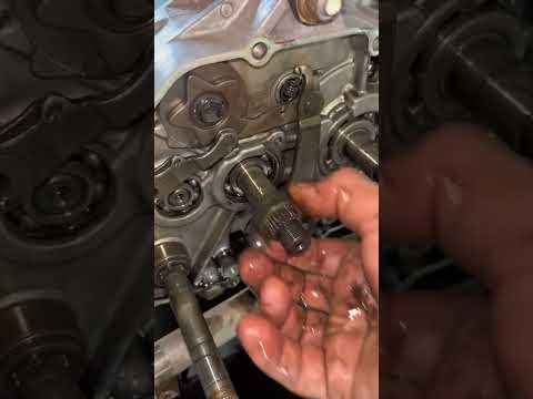 19 de outubro de 2025