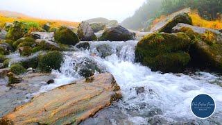 8 Hours of Relaxing Guitar Music by the River